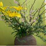 【6月分の予約受付】歯科とカラダの関係