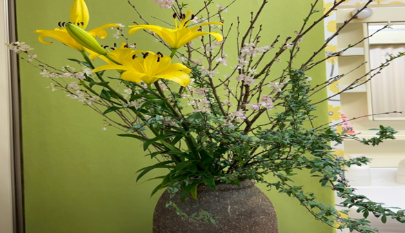 【6月分の予約受付】歯科とカラダの関係